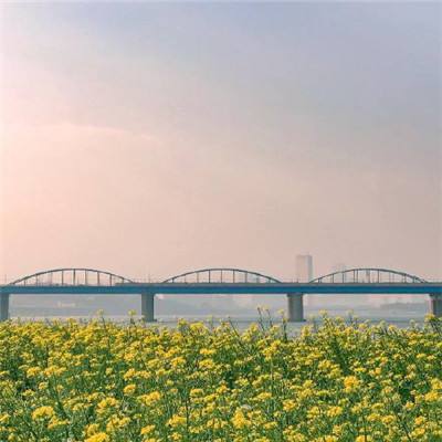 川北公司调研雅康高速公路（图）